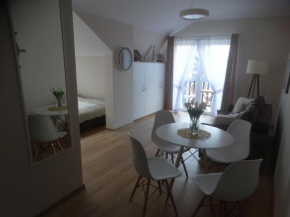 Apartament Bursztynowy, Rowy
